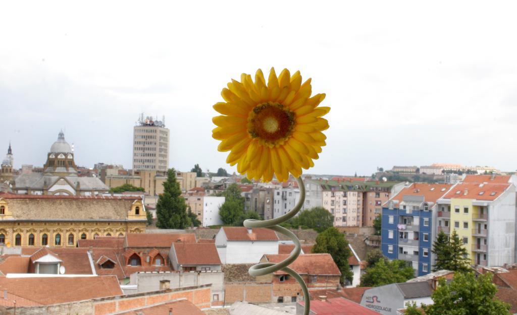 Panorama City Inn Sremski Karlovci Exteriör bild